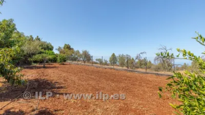 House on Camino del Pinar photo 44