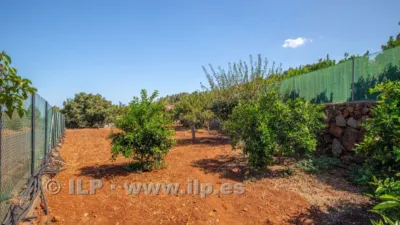 House on Camino del Pinar photo 45