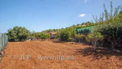 House on Camino del Pinar photo 46