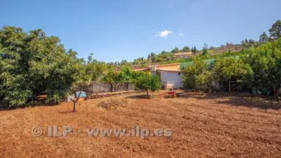 House on Camino del Pinar photo 47