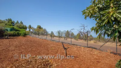 House on Camino del Pinar photo 48