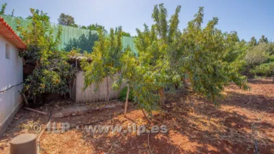 House on Camino del Pinar photo 49