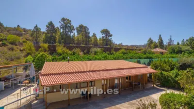 House on Camino del Pinar photo 4