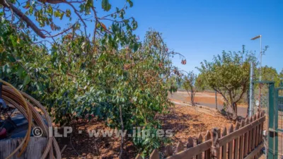 House on Camino del Pinar photo 50