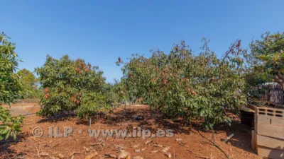 House on Camino del Pinar photo 53
