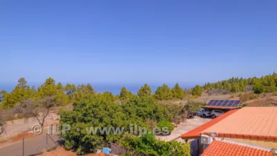 House on Camino del Pinar photo 54