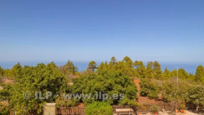 House on Camino del Pinar photo 55