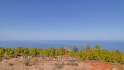 House on Camino del Pinar photo 57