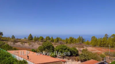 House on Camino del Pinar photo 58
