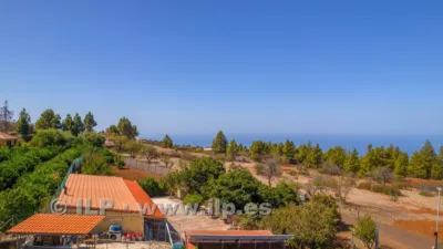 House on Camino del Pinar photo 59