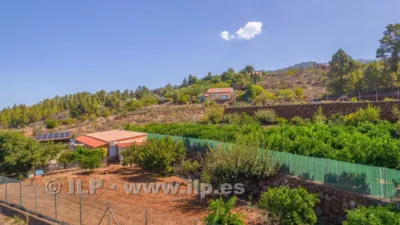 House on Camino del Pinar photo 61