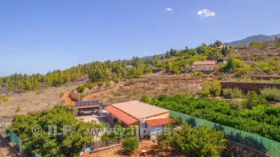 House on Camino del Pinar photo 62