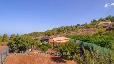 House on Camino del Pinar photo 63