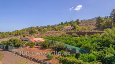 House on Camino del Pinar photo 64