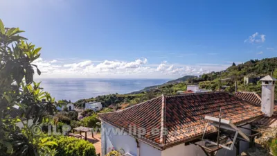 House on Las Lomadas Street, San Andrés y Sauces — La Palma Island photo 6