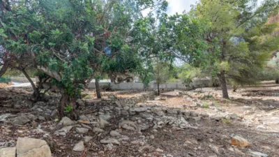 Terreno en venta en Mon Mitad - Vista 2