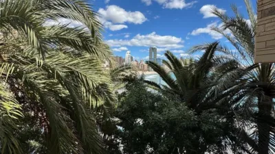Chalet in Poniente photo 73