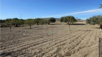 Rustic farm in Antas photo 10
