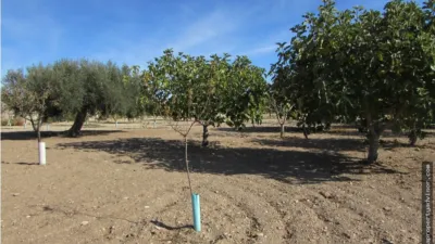 Rustic farm in Antas photo 4