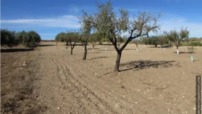 Rustic farm in Antas photo 5