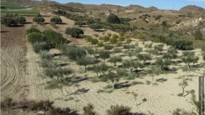 Rustic farm in Antas photo 6