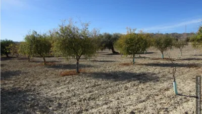 Rustic farm in Antas photo 9