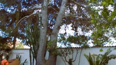 Casa unifamiliar en venta en Calle >Polígono Peri Cast D Juan Oeste, Número >, Los Dolses-Montezenia-Lomas de Cabo (Distrito Orihuela Costa. Orihuela) de 490.000 €