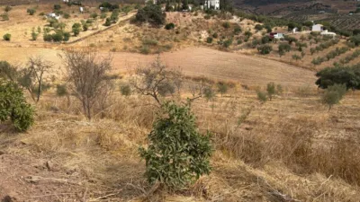 Terreno en venta en Calle >Diseminado Poligono 1, Número >, Casabermeja de 60.000 €