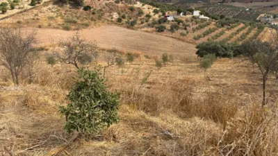 Terreno en venta en Calle >Diseminado Poligono 1, Número >, Casabermeja de 60.000 €