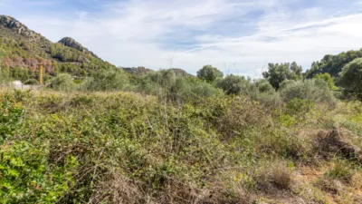 Terreno en venta en Pedreguer - Vista 4