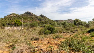 Terreno en venta en Pedreguer - Vista 5