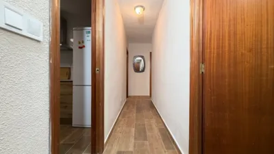 Piso – el Campello, Pla d’en Sarrió, Urbanització L'Almadrava - Vista 4