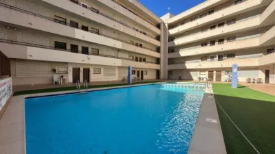 Pis – Torrevieja - Vista 2