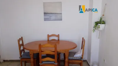 Apartment in Playa photo 17