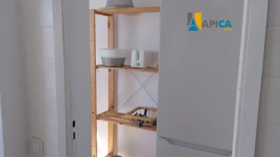 Apartment in Playa photo 23