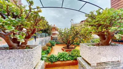House in Albarrosa photo 7