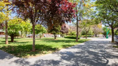 Dúplex en alquiler en Calle >C- del Riu Bidasoa, Número >, Benicalap (Distrito Benicalap. València Capital) de 1.600 €<span>/mes</span>