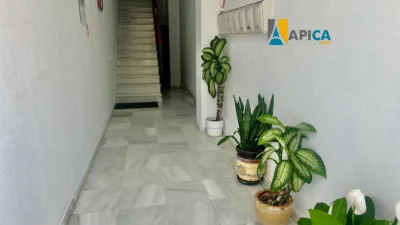 Apartment in El Santo photo 24