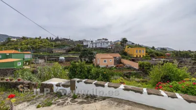 House on Camino del Rincón photo 44