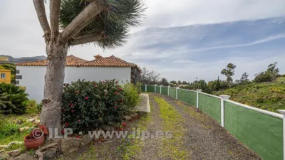 House on Camino del Rincón photo 57