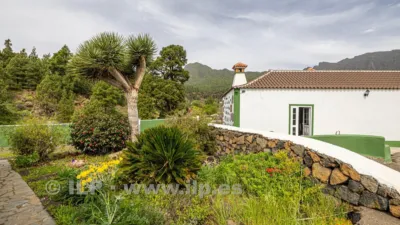 House on Camino del Rincón photo 83