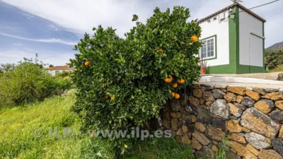 House on Camino del Rincón photo 98