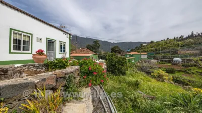 House on Camino del Rincón photo 99