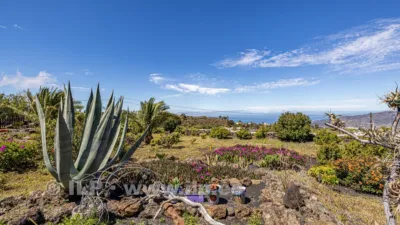 House on Camino de Tacande photo 80