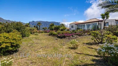 House on Camino de Tacande photo 85