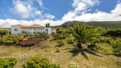 House on Camino de Tacande photo 86