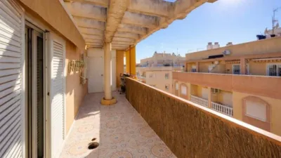 Pis – Elx / Elche, la Barrera, Urbanització Les Atzavares - Vista 2
