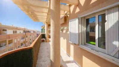 Pis – Elx / Elche, la Barrera, Urbanització Les Atzavares - Vista 5