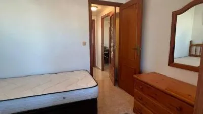 Apartment in Playa del Acequion photo 20