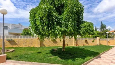 House in El Chaparral photo 20